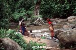 Rivière Cavally à Lieupieu